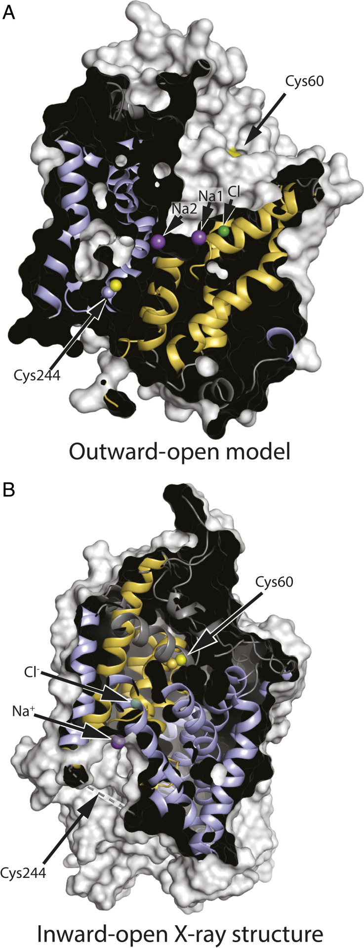 Fig. 3.