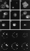 FIG. 9