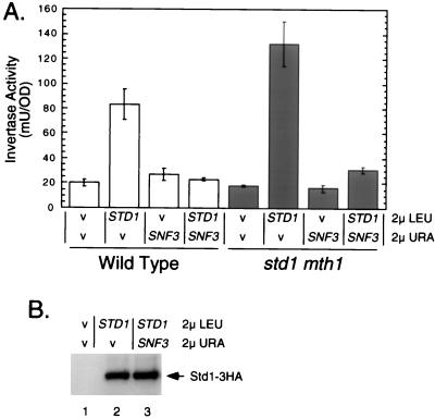 FIG. 6