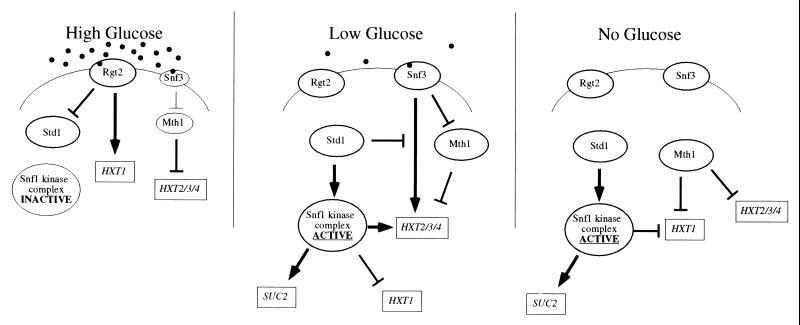 FIG. 10