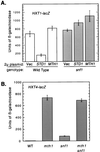 FIG. 7