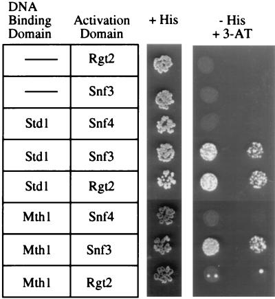 FIG. 1