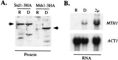 FIG. 8