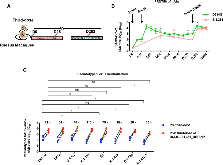 Figure 4