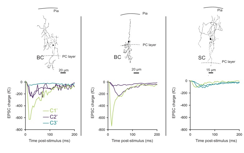 Figure 7—figure supplement 2.