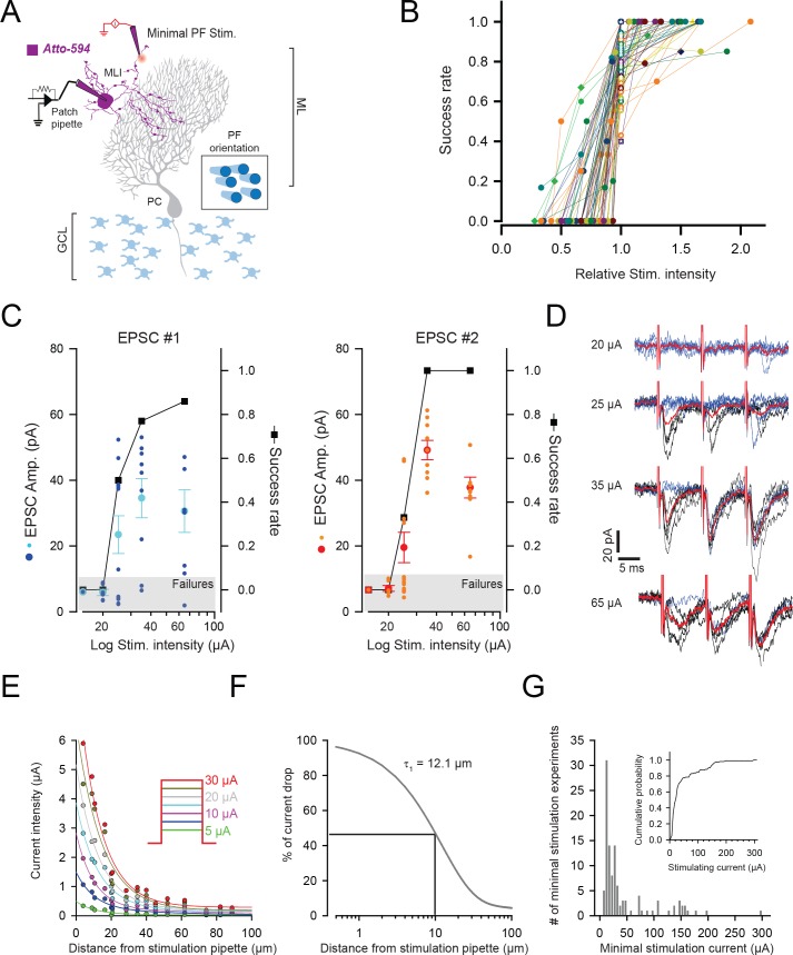 Figure 1—figure supplement 1.