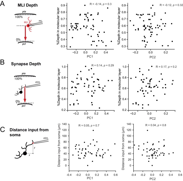 Figure 3—figure supplement 2.