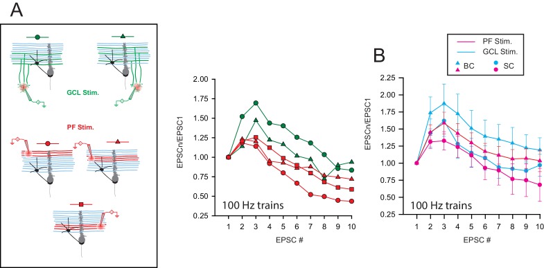 Figure 3—figure supplement 1.