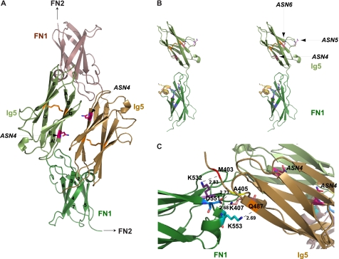 FIGURE 1.