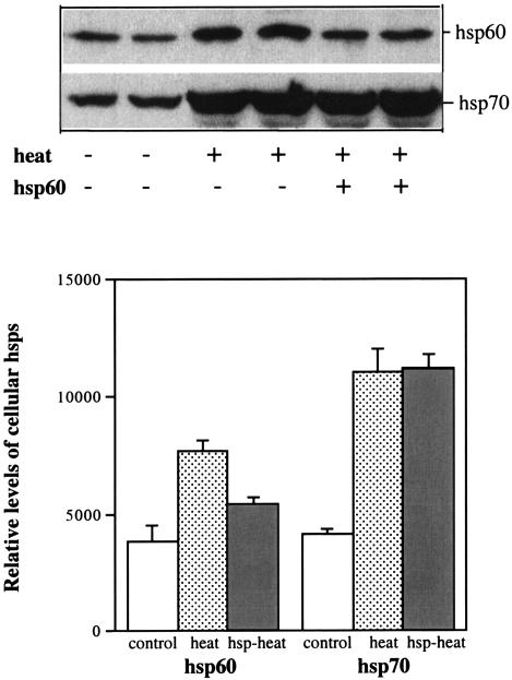 FIG. 8.