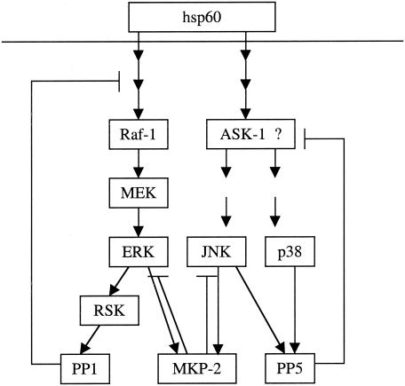 FIG. 9.