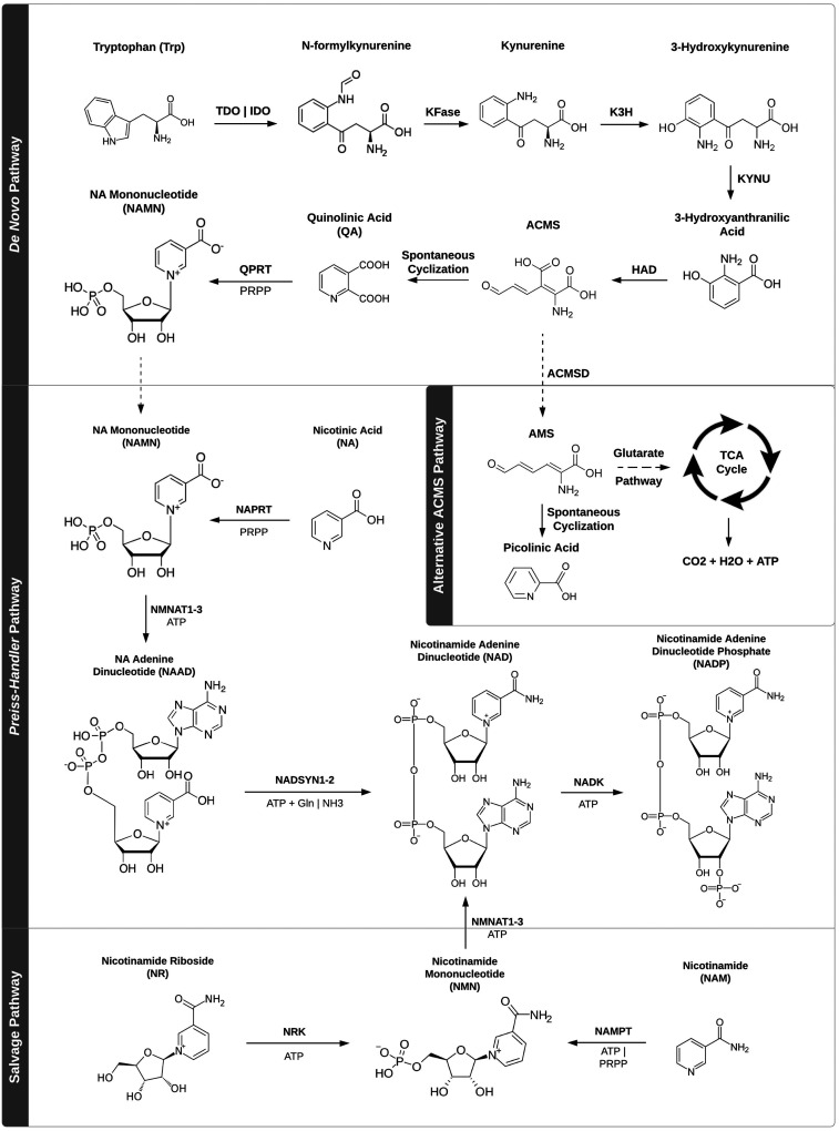 Figure 2.