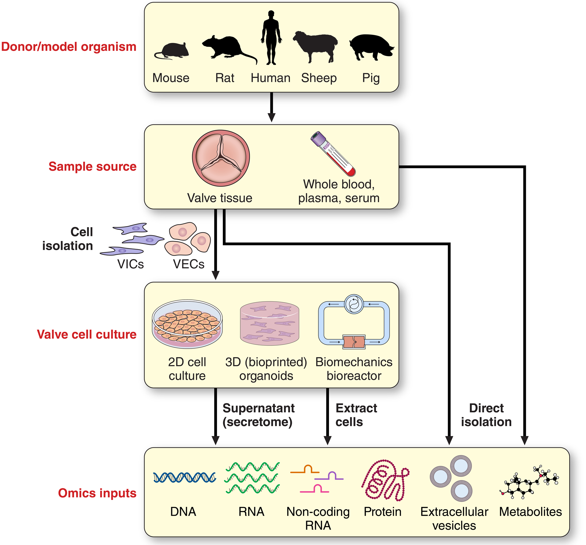 Figure 2: