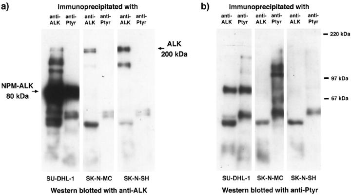 Figure 10.