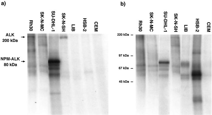 Figure 9.