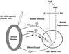 Fig. 10