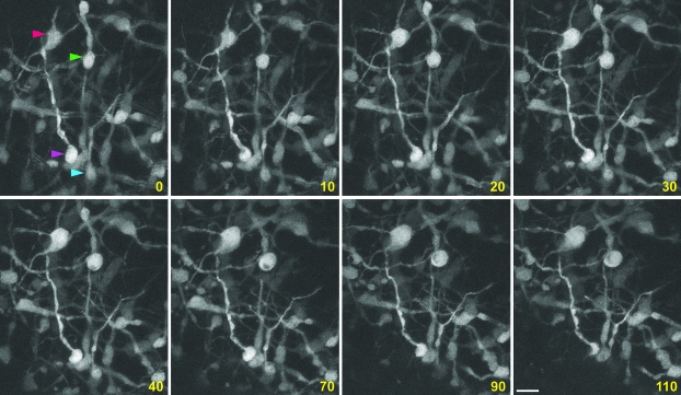 Figure 3.