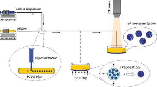 Figure 9.