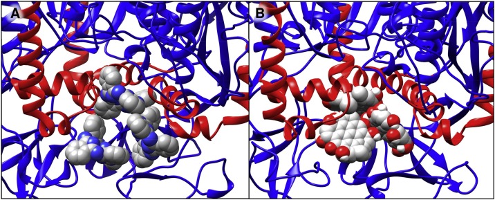 Fig. 4