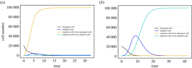 Figure 10. 