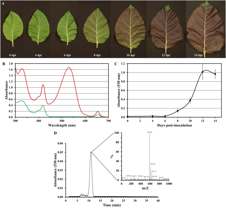 FIGURE 6