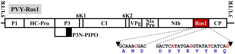 FIGURE 1