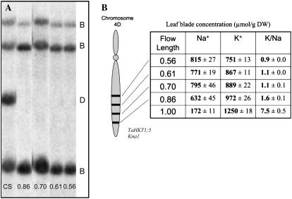 Figure 4.