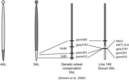 Figure 5.