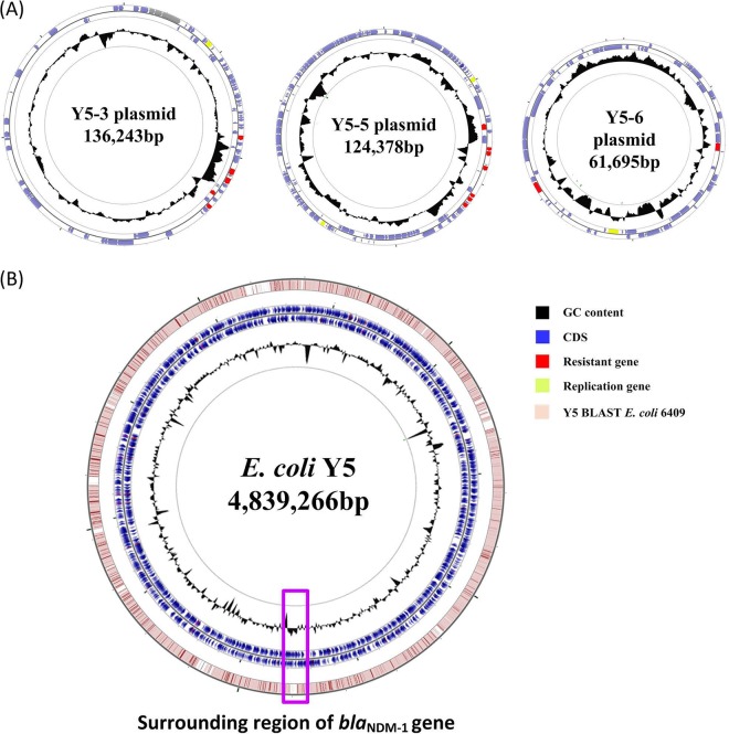 FIG 1