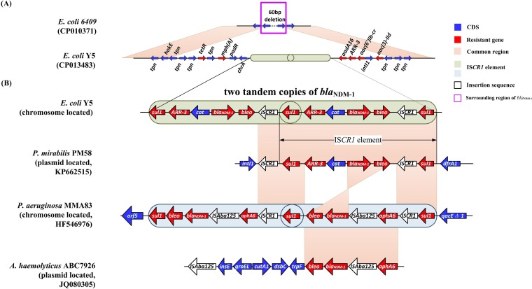 FIG 2