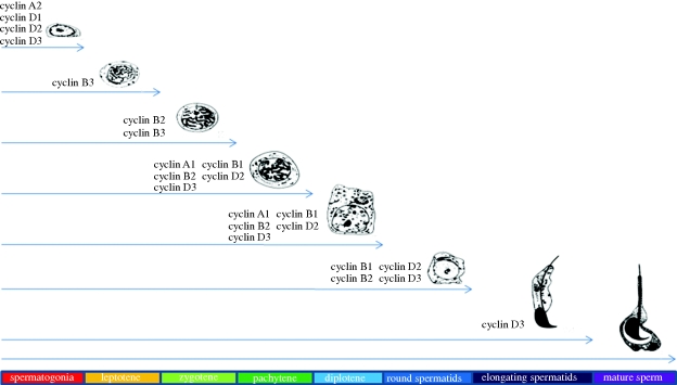 Figure 1.