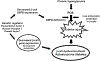 FIG. 2.