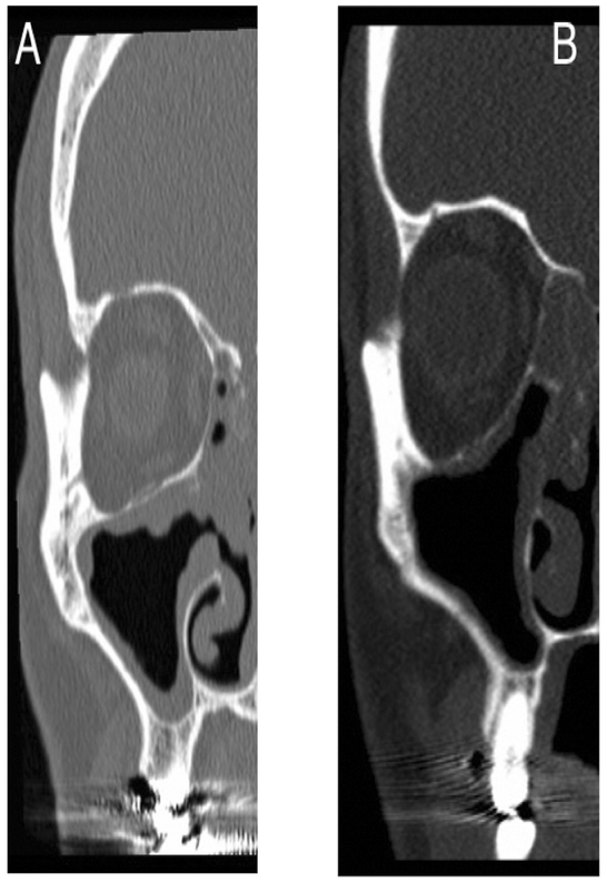 Figure 4: