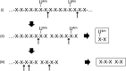 FIG 10