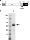 FIG 1