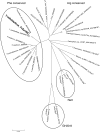 FIG 9