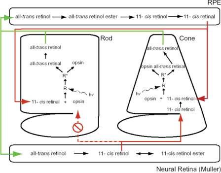 FIGURE 5.