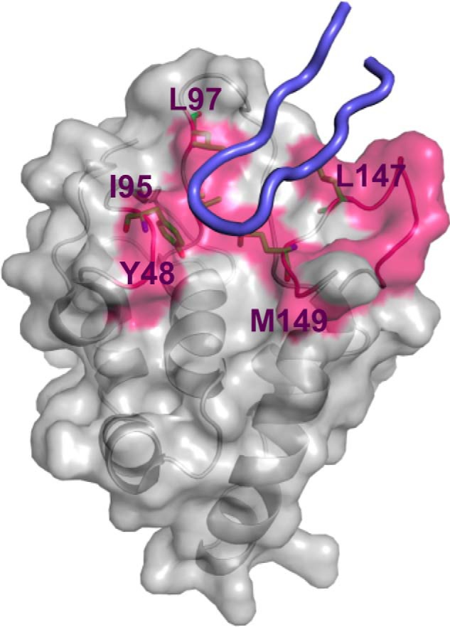 FIGURE 2.