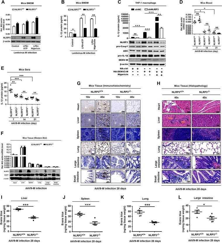 FIG 6