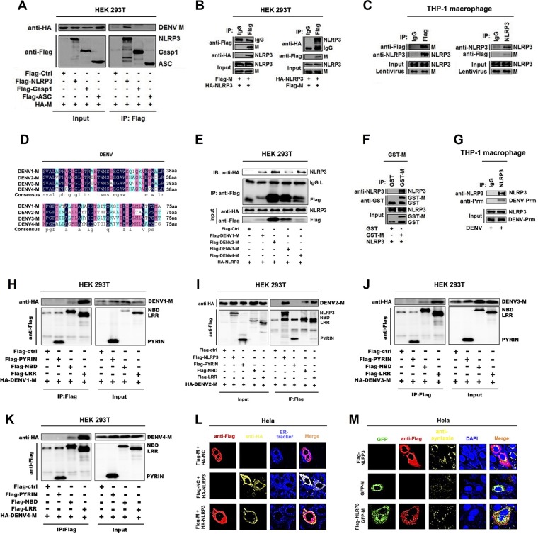 FIG 3