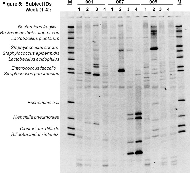 Fig 5