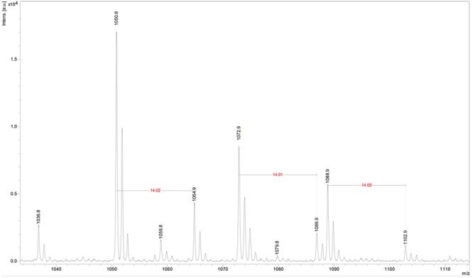 FIGURE 4