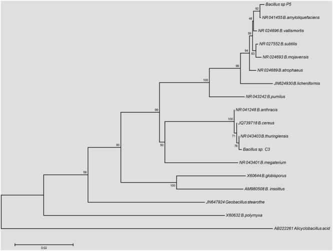 FIGURE 1