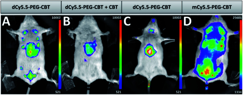 Fig. 4