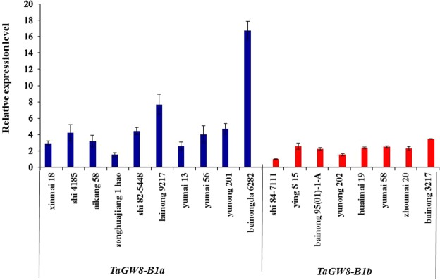 Figure 6