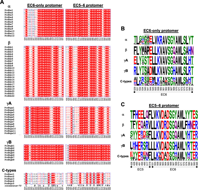 Figure 4—figure supplement 3.