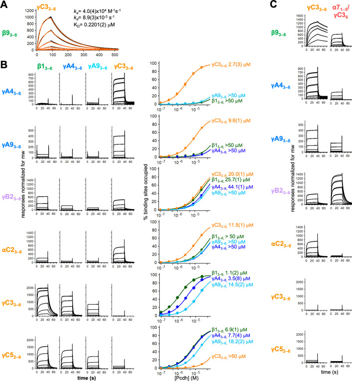 Figure 4—figure supplement 1.