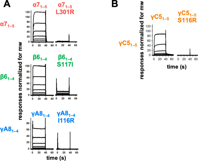 Figure 2—figure supplement 1.