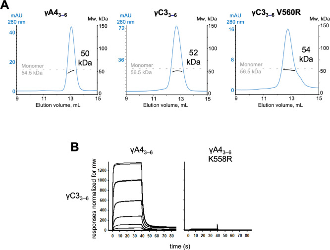 Figure 5—figure supplement 2.