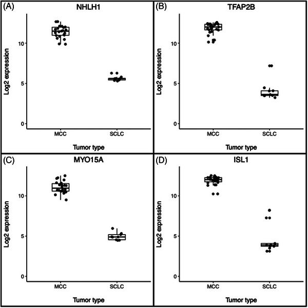 FIGURE 4